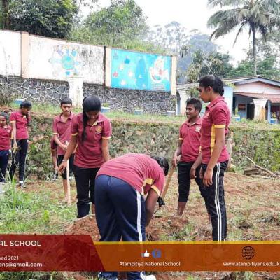 Advanced Level Student's Project 2022